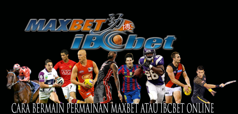 Cara Bermain Maxbet